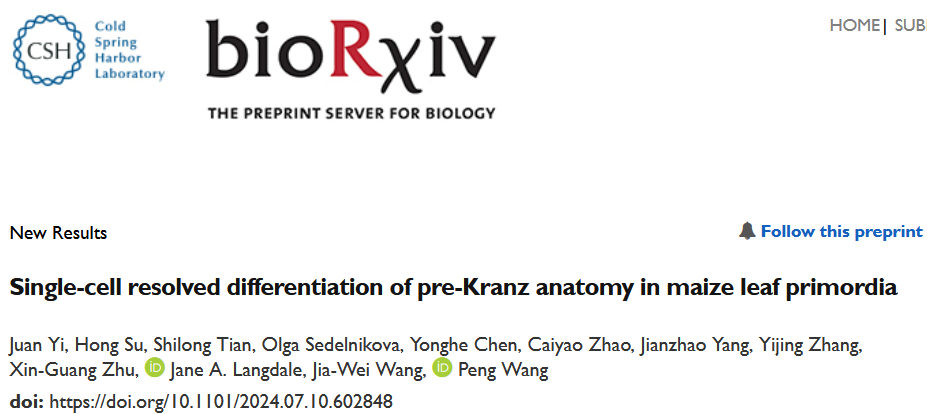 2025年11月韓國寵物用品展覽會 MEGAZOO PART 2