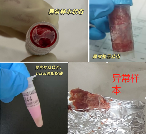 2026阿聯(lián)酋迪拜家具展覽會 INDEX